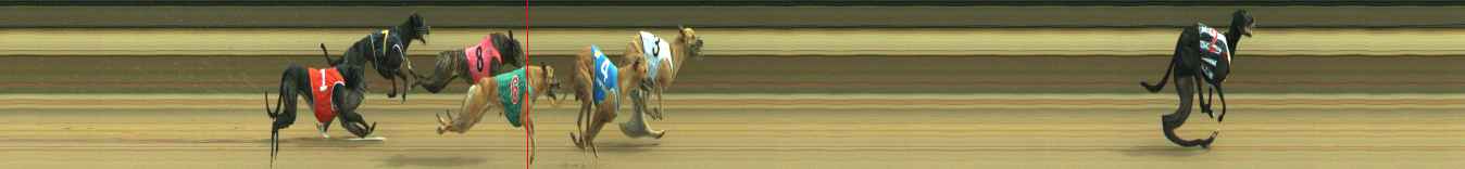 Photo finish for Warragul Race 9