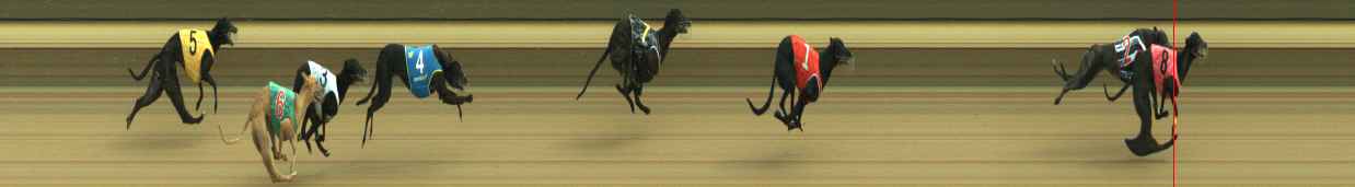 Photo finish for Warragul Race 10