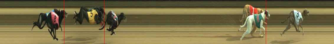 Photo finish for Warragul Race 11