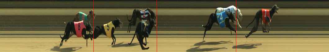 Photo finish for Warragul Race 12