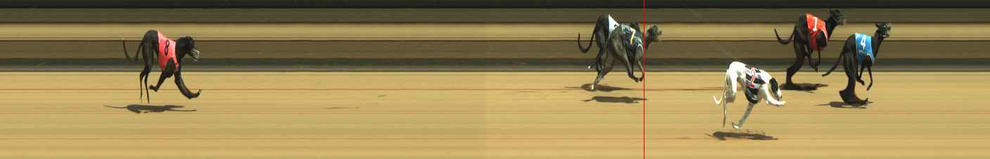 Photo finish for Warragul Race 2
