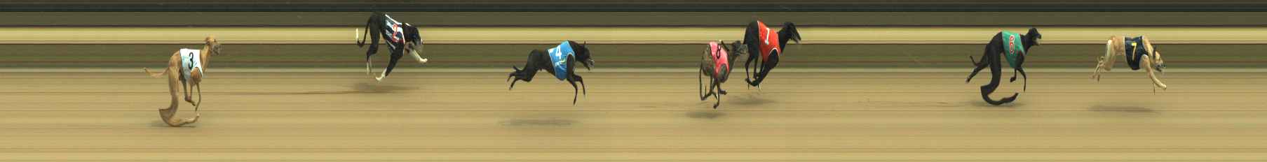 Photo finish for Warragul Race 3