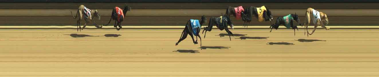 Photo finish for Warragul Race 4
