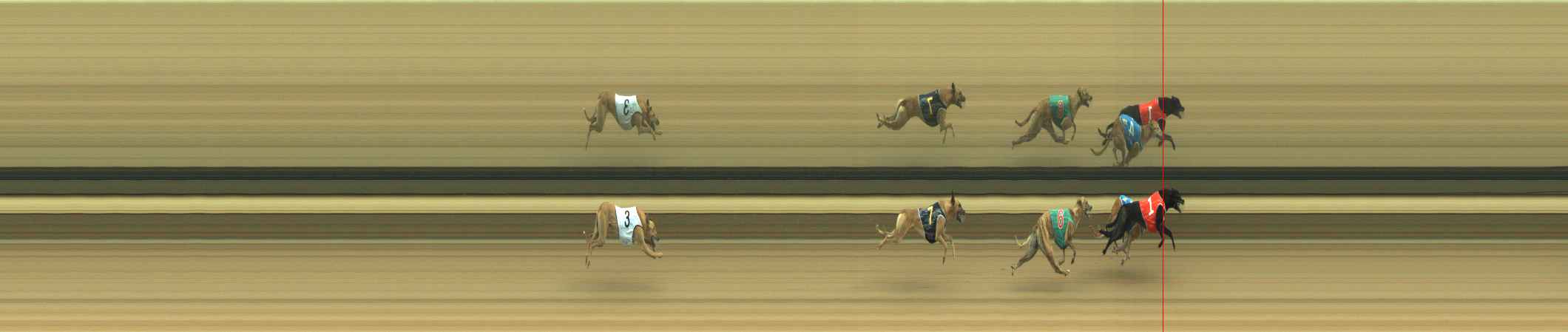 Photo finish for Warragul Race 7