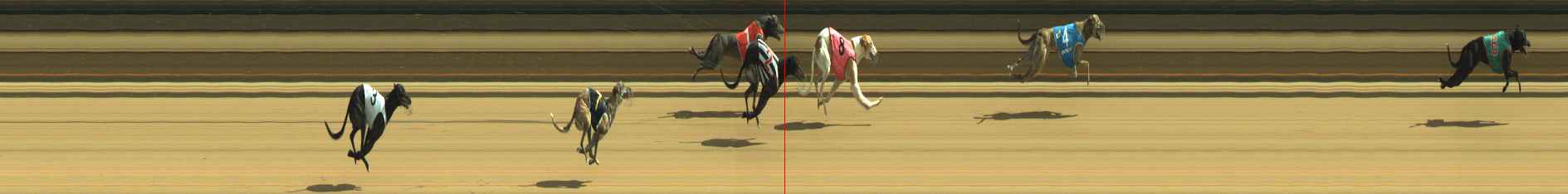 Photo finish for Warragul Race 8