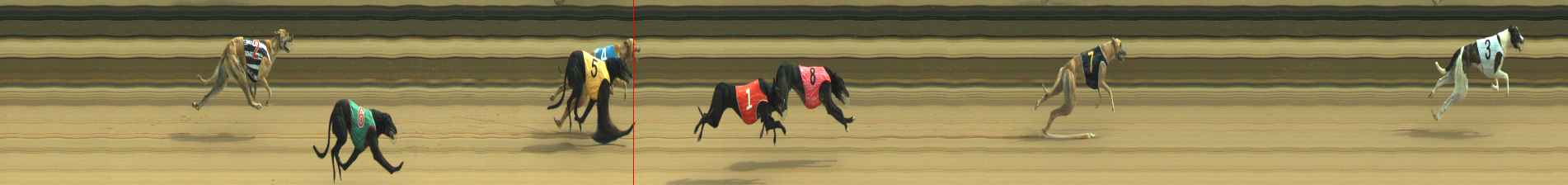 Photo finish for Warragul Race 9
