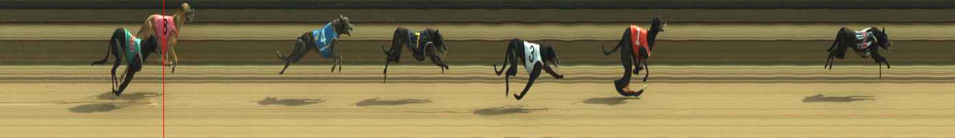 Photo finish for Warragul Race 10
