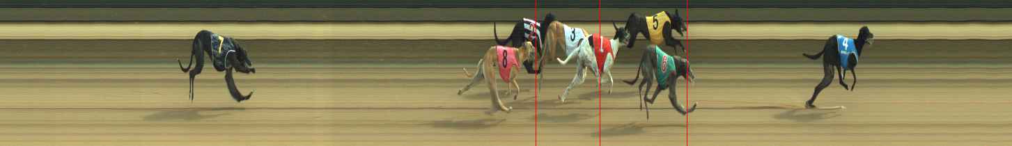 Photo finish for Warragul Race 11