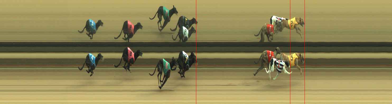 Photo finish for Warragul Race 12