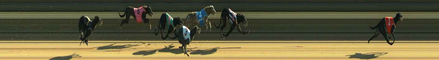 Photo finish for Warragul Race 1