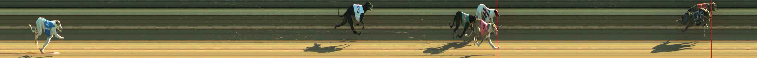 Photo finish for Warragul Race 2