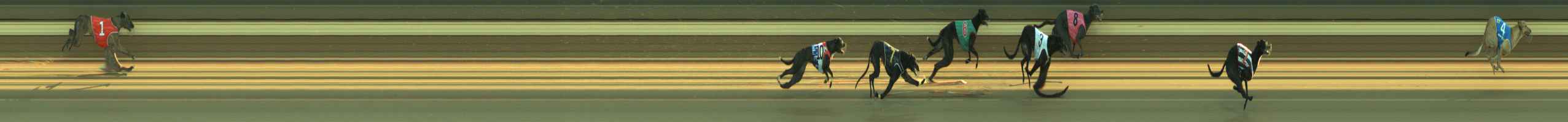 Photo finish for Warragul Race 4
