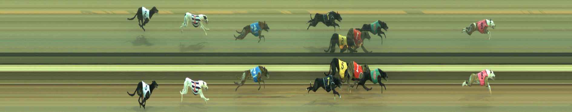 Photo finish for Warragul Race 5