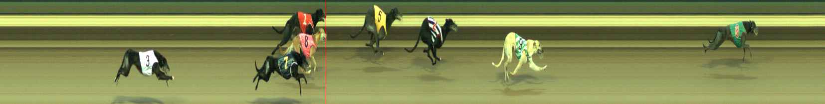 Photo finish for Warragul Race 6