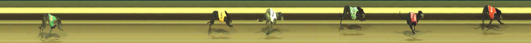 Photo finish for Warragul Race 9