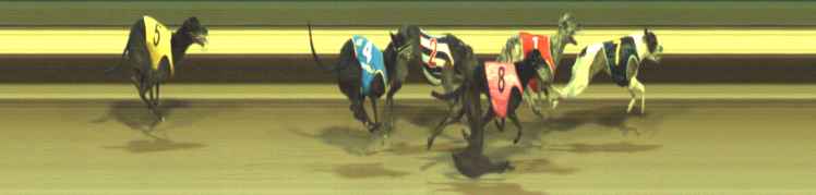 Photo finish for Warragul Race 11