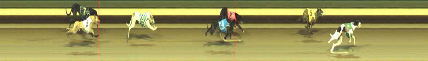 Photo finish for Warragul Race 12