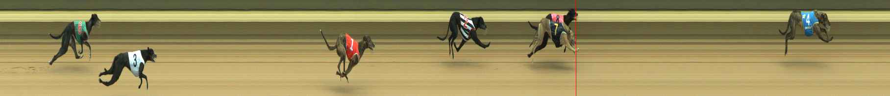Photo finish for Warragul Race 1