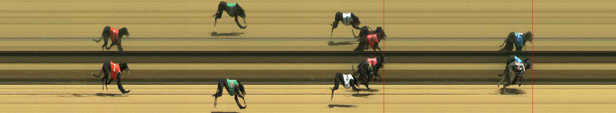 Photo finish for Warragul Race 2