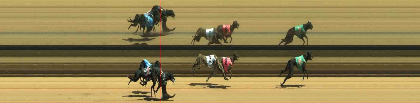 Photo finish for Warragul Race 3