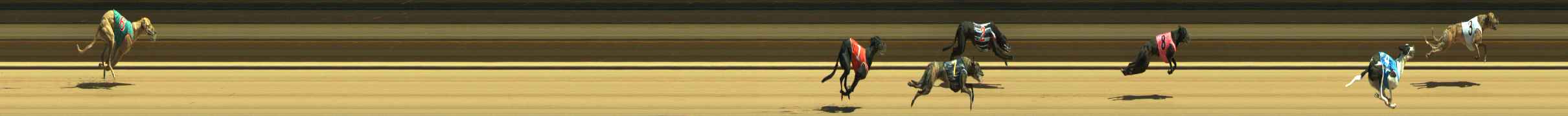 Photo finish for Warragul Race 4