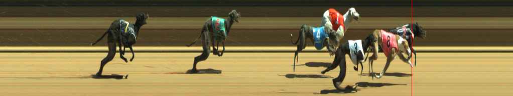 Photo finish for Warragul Race 5