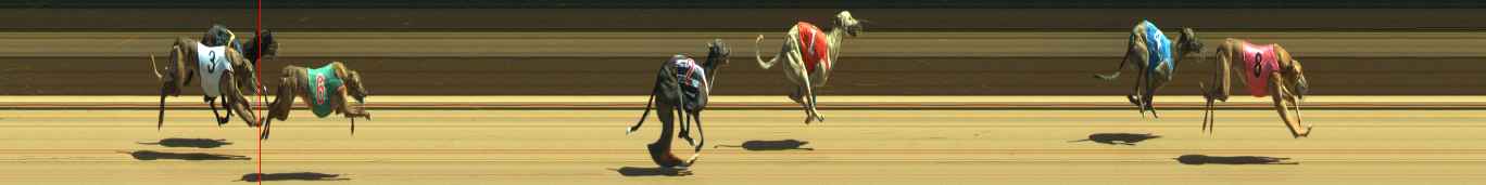 Photo finish for Warragul Race 6