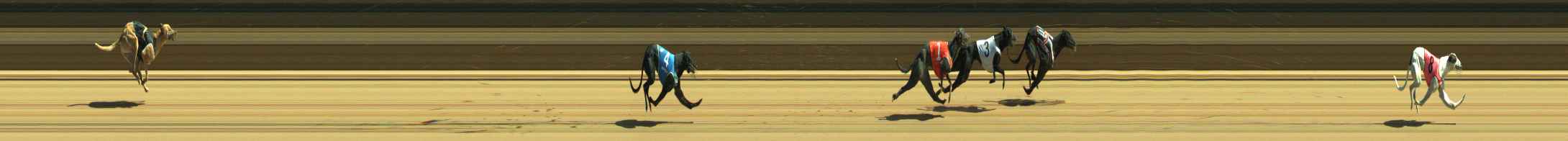 Photo finish for Warragul Race 7