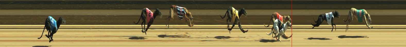 Photo finish for Warragul Race 8