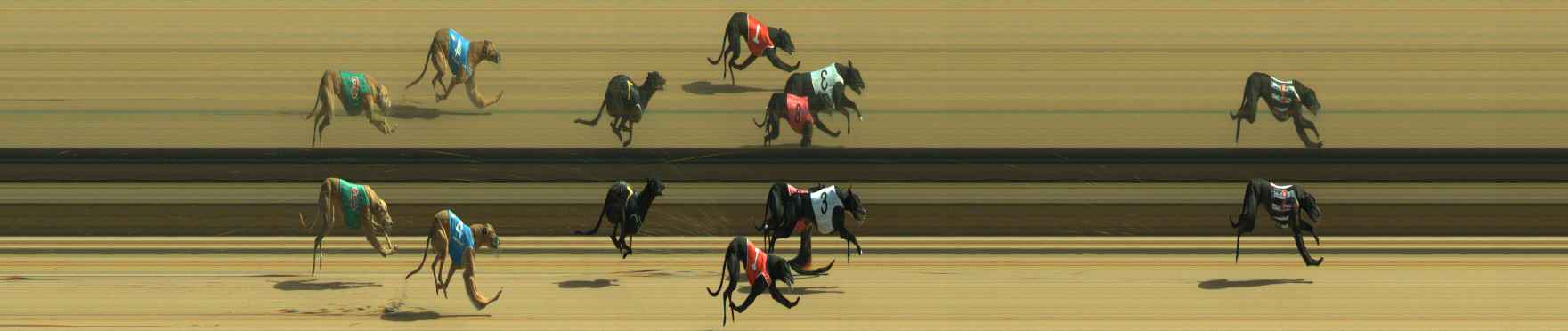 Photo finish for Warragul Race 9