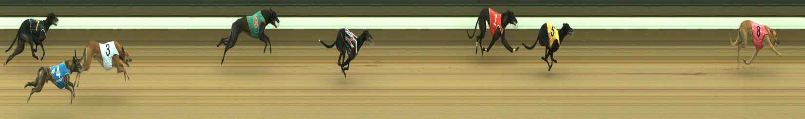Photo finish for Warragul Race 1