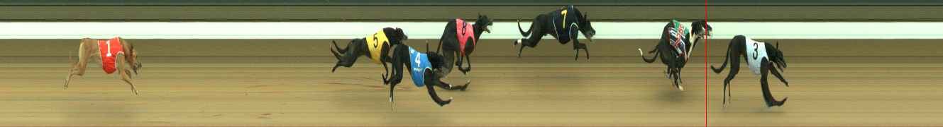 Photo finish for Warragul Race 2