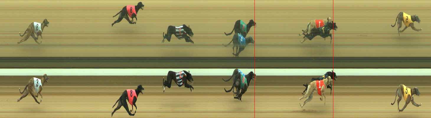 Photo finish for Warragul Race 3