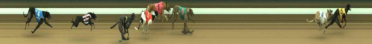 Photo finish for Warragul Race 5