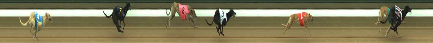 Photo finish for Warragul Race 6