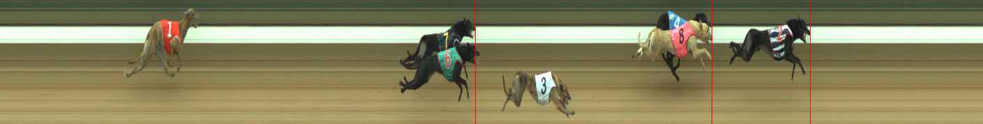 Photo finish for Warragul Race 7