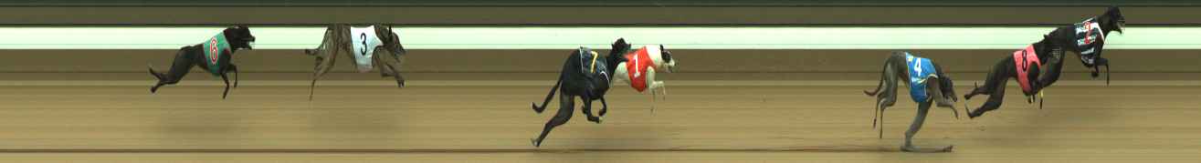 Photo finish for Warragul Race 8