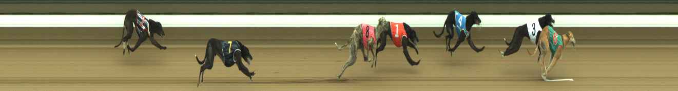 Photo finish for Warragul Race 9