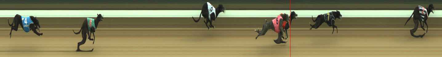 Photo finish for Warragul Race 10