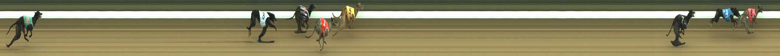 Photo finish for Warragul Race 11