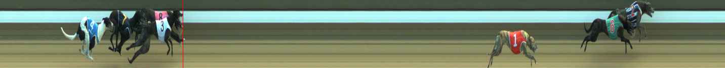 Photo finish for Warragul Race 1