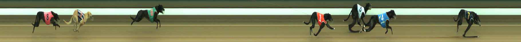 Photo finish for Warragul Race 2