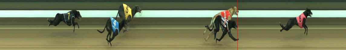Photo finish for Warragul Race 3