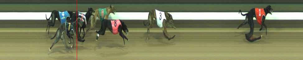 Photo finish for Warragul Race 4