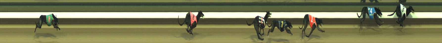 Photo finish for Warragul Race 5