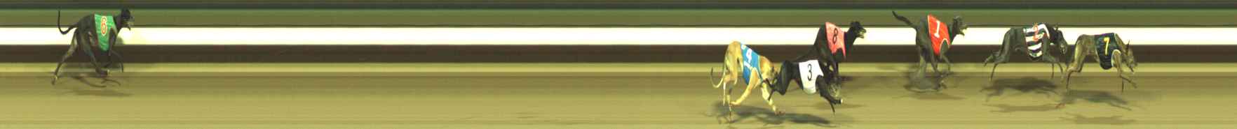 Photo finish for Warragul Race 7