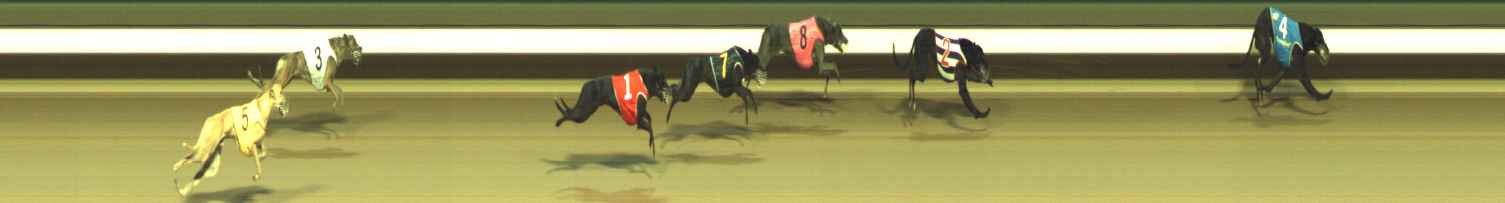 Photo finish for Warragul Race 8