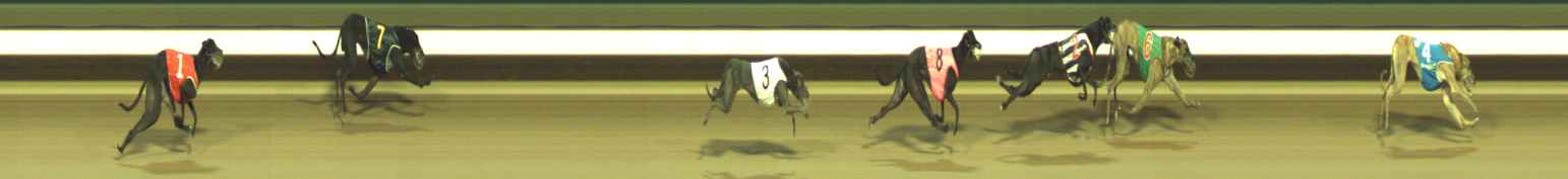 Photo finish for Warragul Race 9