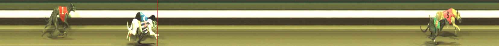 Photo finish for Warragul Race 11