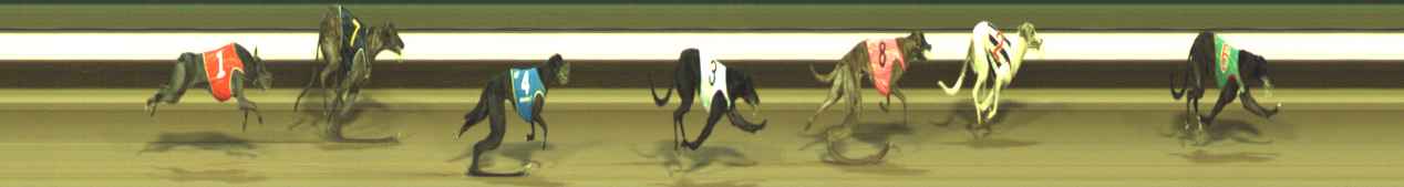 Photo finish for Warragul Race 12